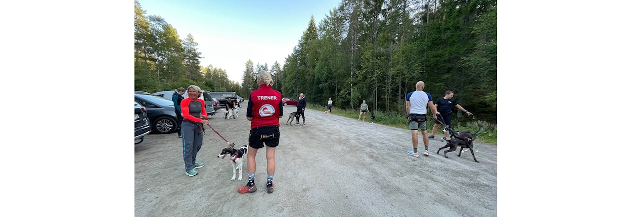 Trenerutvikling: Trenersamling 2025